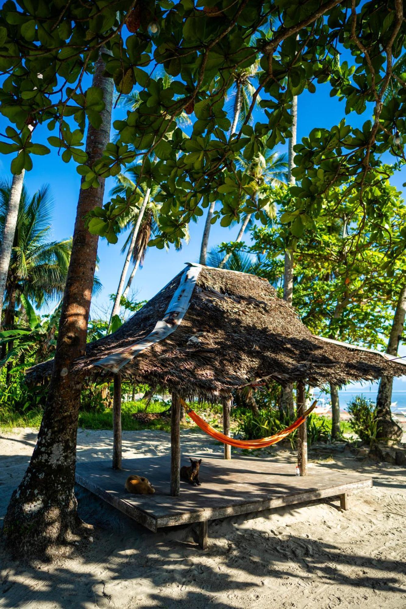 Amihan Beach Hostel Сан-Висенте Экстерьер фото